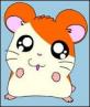 hamtaro